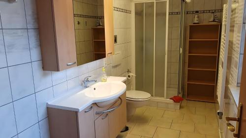 a bathroom with a sink and a toilet at Ferienwohnung 1 in Bad Wilsnack