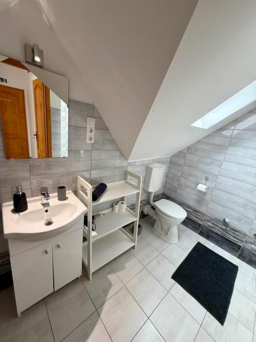 a bathroom with a sink and a toilet at Kékkúti Apartman in Kékkút