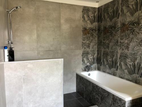 a bathroom with a bath tub and a shower at F2 Homestead in Omuthiya
