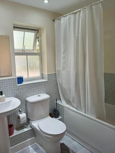 a bathroom with a toilet and a sink and a shower at 2 Bedrooms Flat in Surrey, 30 min to London in Woking