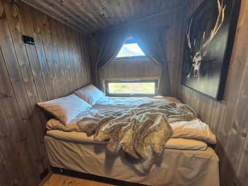 a small bed in a room with a window at Cabin Aurora Borealis in Sommarøy