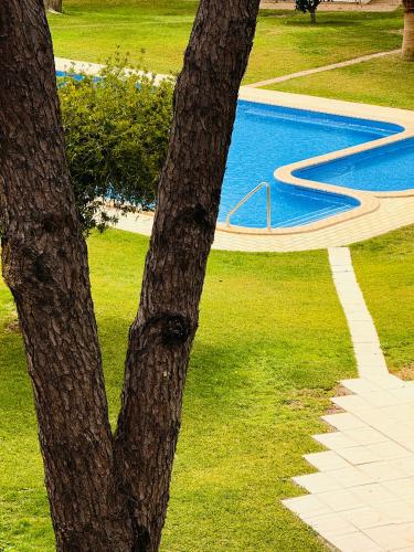 a close up of a tree next to a swimming pool at Vilamoura 2 Bedroom with Pool - Na Casa De Pascal in Vilamoura