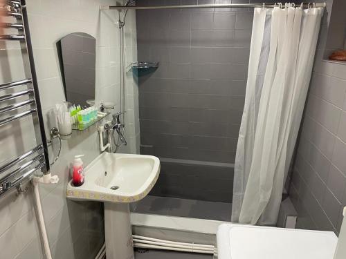 a bathroom with a sink and a shower at Old Friends Cozy House in Gyumri
