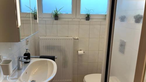 a bathroom with a sink and a toilet and windows at Maarträumchen in Gillenfeld in Gillenfeld