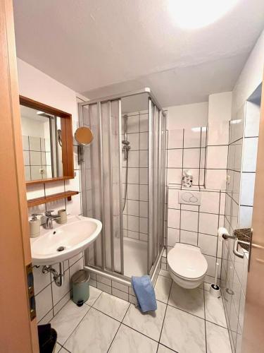 a bathroom with a shower and a toilet and a sink at Historisches Ganghaus "Bluebelle" in Lübeck