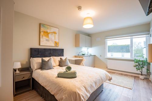 a bedroom with a large bed and a window at Flexistays - Private En-Suite Studios - Kinnegad in Kinnegad
