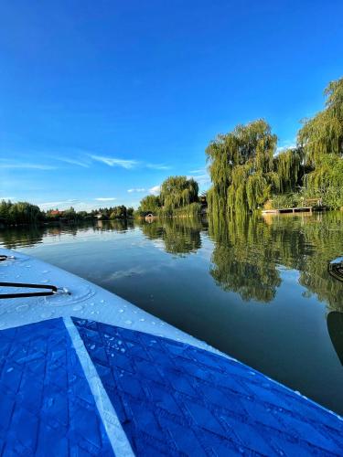 a boat on a river with trees in the water at Akácos Tanya Szarvas in Szarvas