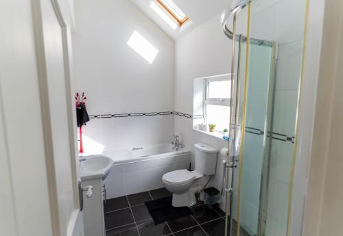 a bathroom with a toilet and a sink and a shower at Mariner's Rest - Cahersiveen in Cahersiveen