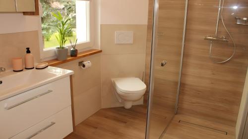 a bathroom with a shower and a toilet and a window at Ferienhaus am Mühlteich in Neuhaus-Schierschnitz