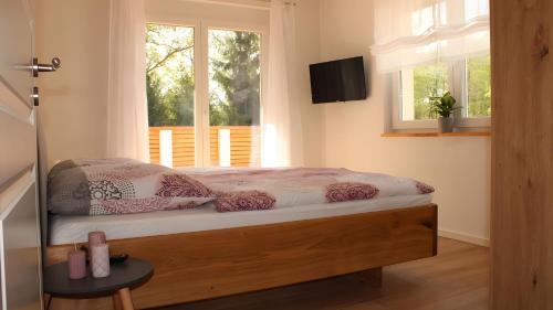 a bedroom with a bed with a window and a television at Ferienhaus am Mühlteich in Neuhaus-Schierschnitz
