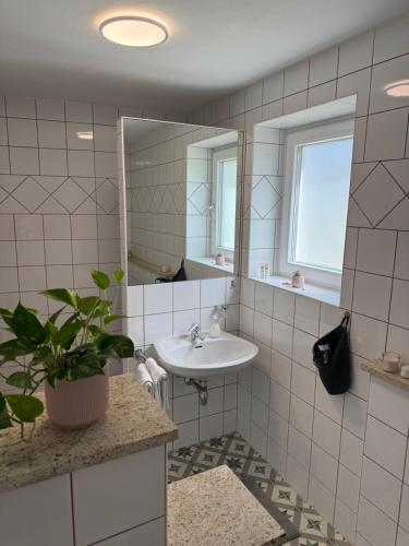 a bathroom with a sink and a mirror and a potted plant at Helle Ferienwohnung Saunahaus in Annaberg im Lammertal