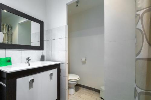 a bathroom with a sink and a toilet and a mirror at La Charrette in Dunières-sur-Eyrieux