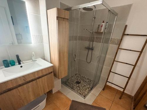 a bathroom with a shower and a sink at L'ile au Paon in Les Abymes