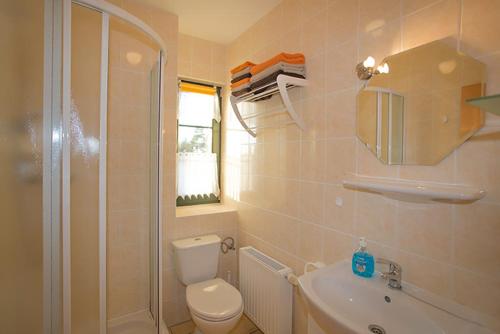 een badkamer met een toilet, een wastafel en een douche bij Ferienwohnung Köhler in Glowe