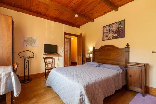 a bedroom with a bed and a television in it at La Charrette in Dunières-sur-Eyrieux