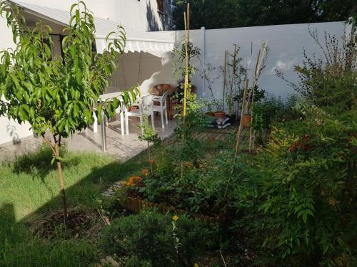 charmante maison avec jardin à Montpellier