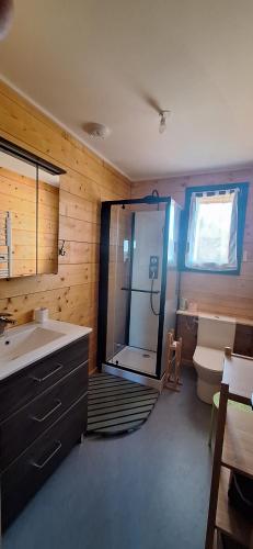 a bathroom with a shower and a sink and a toilet at La Maison En Bois in Figeac
