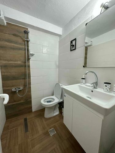 a bathroom with a toilet and a sink and a shower at Casa de Palma in Asprovalta