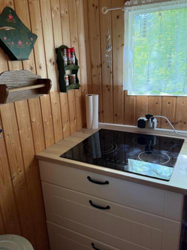a kitchen with a stove and a counter top at Campingurlaub mit Blick auf die Elbe in Pfaffendorf