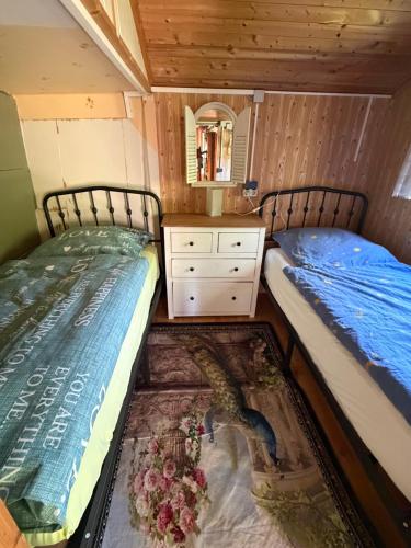 a room with two beds and a table and a dresser at Campingurlaub mit Blick auf die Elbe in Pfaffendorf