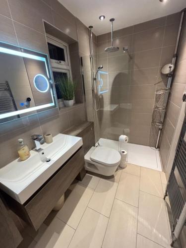 a bathroom with a toilet and a sink and a shower at Hollybrake Haven Gatwick in Crawley