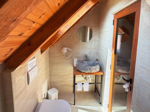 a bathroom with a sink in a tiny house at Vila Shkalla in Theth