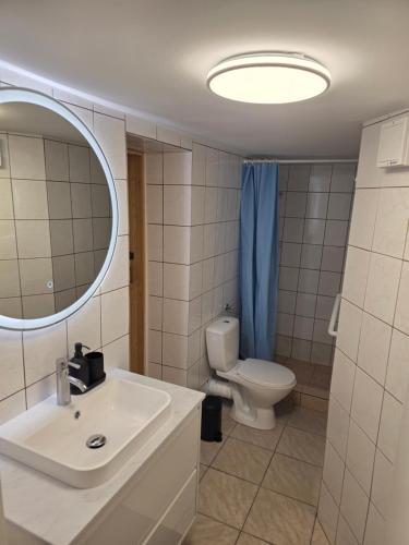 a bathroom with a sink and a toilet and a mirror at Cosy Studio CatHouse in Radovljica