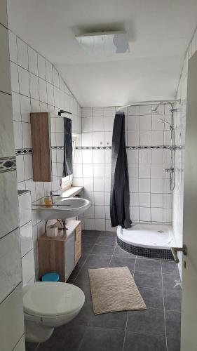 a bathroom with a toilet and a shower and a sink at Ferienwohnung Am Palmberg in Gerolsheim