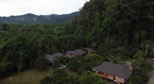 an aerial view of a house in the middle of a forest at Khaosok Unseen Resort in Khao Sok National Park