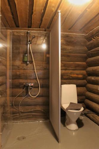 a bathroom with a toilet and a shower at River Cabin Urpo in Inari