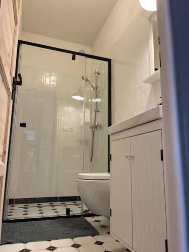 a bathroom with a shower and a toilet in it at Penzion Lívanec in Horní Bezděkov