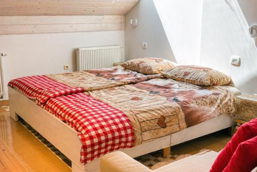 a bed with two pillows on it in a room at IškAAdventure-appertment in Ig