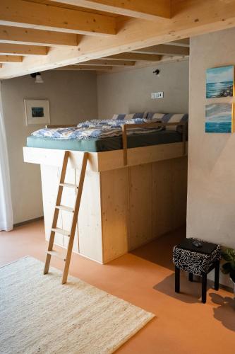 a loft bed with a ladder in a room at Studio Apartment Lindennest in Waging am See