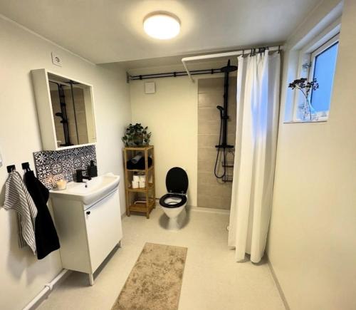 a bathroom with a sink and a toilet and a shower at Central, Modern, Cozy Cottage in Gävle
