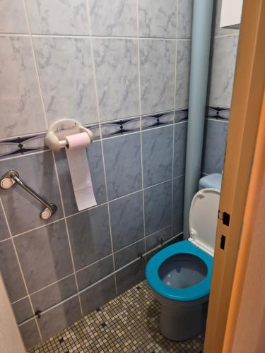 a bathroom with a blue toilet and a toilet paper roll at Les pins in Mulsanne