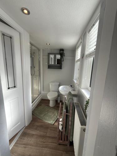 a bathroom with a toilet and a sink and a mirror at Willows Cottage in Pitlochry