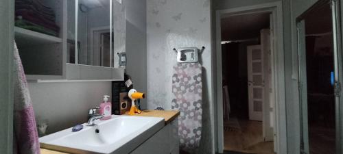 a bathroom with a white sink and a mirror at Nummen Goto, kivenheitto torilta in Rauma