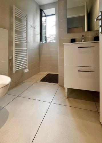 a bathroom with a sink and a toilet at Gîte Les Cèdres in Pommiers