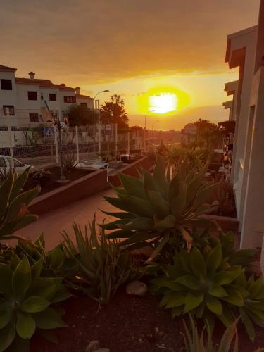 Canary Islands Villas Summer Forever