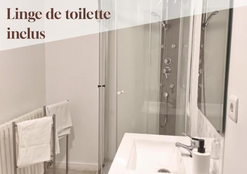 a bathroom with a sink and a shower with a mirror at Apt 5 Eaux-Chaudes proche Laruns et Espagne in Laruns