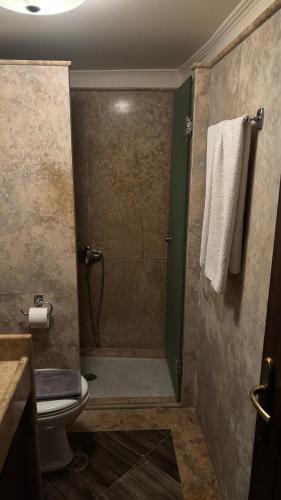 a bathroom with a shower and a toilet at Elis Studio Luxury Apartment in Ierapetra