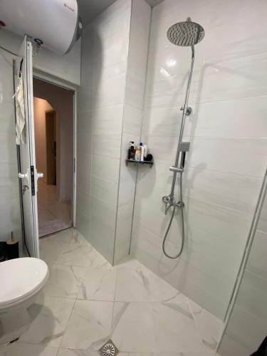 a bathroom with a shower and a toilet at Emis apartment in Targovishte