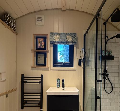 a bathroom with a sink and a shower at Orchard House Holiday in Bungay