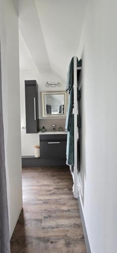 a bathroom with a sink and a mirror at Gite "Le Cosy Fleuri" in Champenard