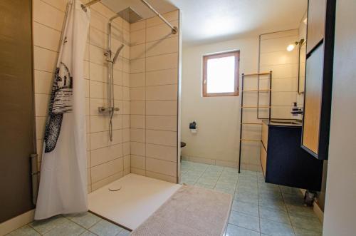 a bathroom with a shower and a sink at Ô pré de ma fleur in Brévonnes