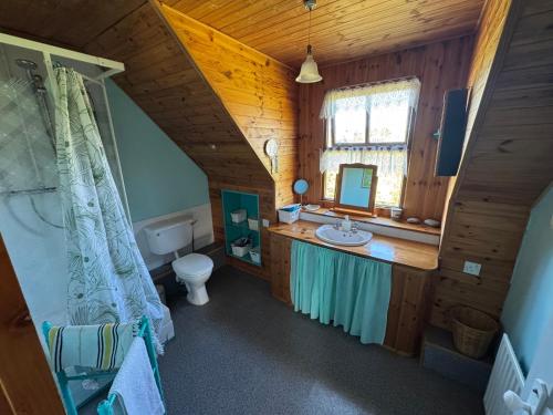 a bathroom with a sink and a toilet in a cabin at Kermor B&B in Claddaghduff