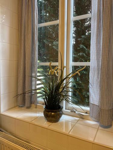 a window with a plant sitting on a window sill at B&B Ströprodukter in Eslöv