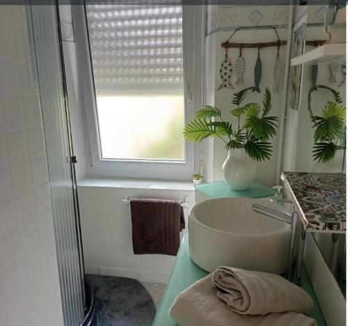 a bathroom with a sink and a plant on a counter at apartement avec parking prive in Concarneau