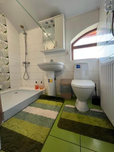 a bathroom with a toilet and a sink and a tub at Садиба "У Пані Галини" з форельним господарством in Kosiv