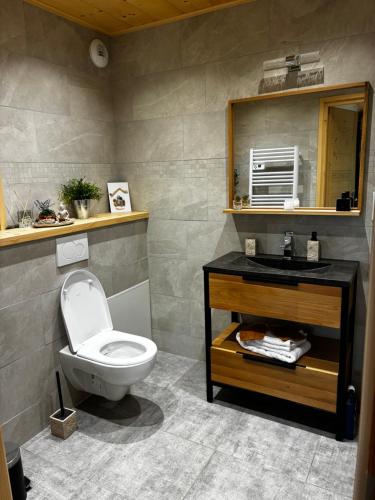 a bathroom with a toilet and a sink and a mirror at Le cocon alpin in Passy
